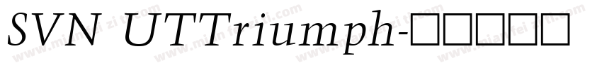 SVN UTTriumph字体转换